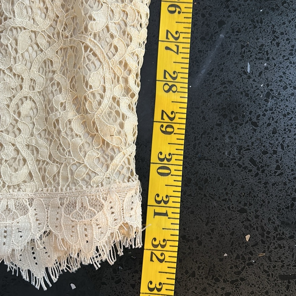 Feather and Lace Dress - Picture 13 of 14